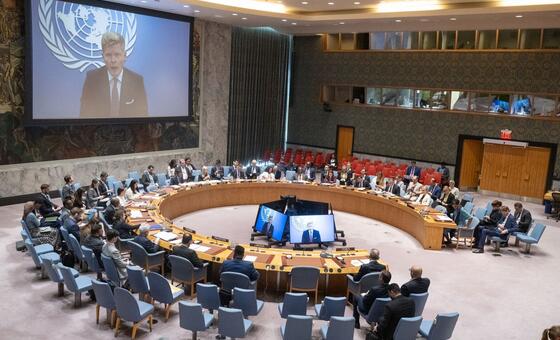 المبعوث الأممي الخاص إلى اليمن، هانس غروندبرغ (على الشاشة)، يوجّه إحاطة لأعضاء مجلس الأمن بشأن الوضع في البلاد.